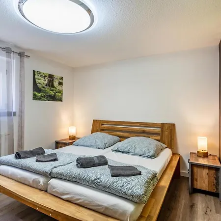 Apartman Ribeiro Tesouro Friesenheim